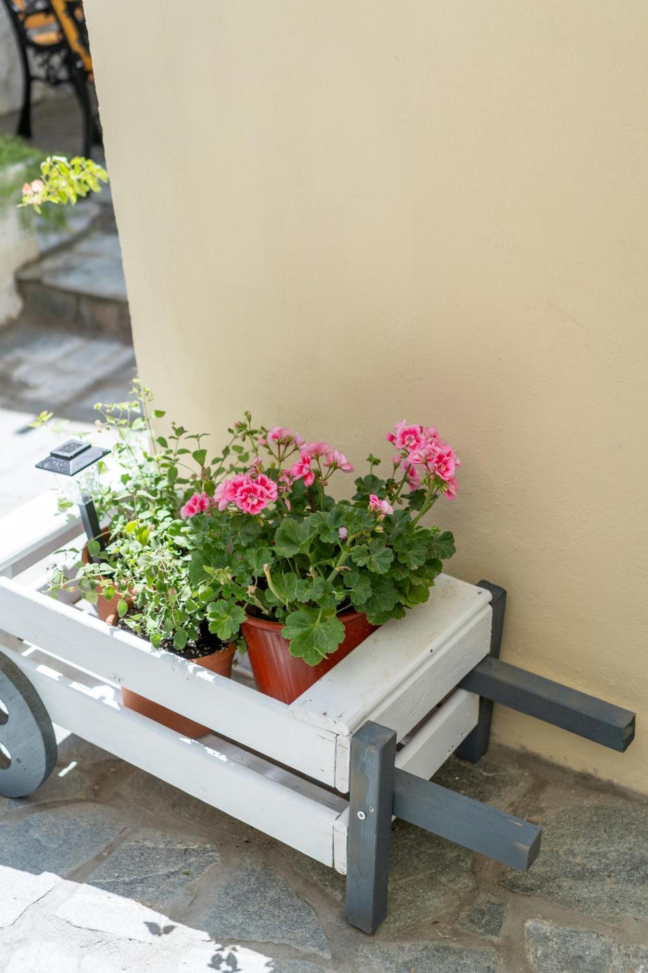 Spacious Home With Yard, Mytilene Lesvos 外观 照片