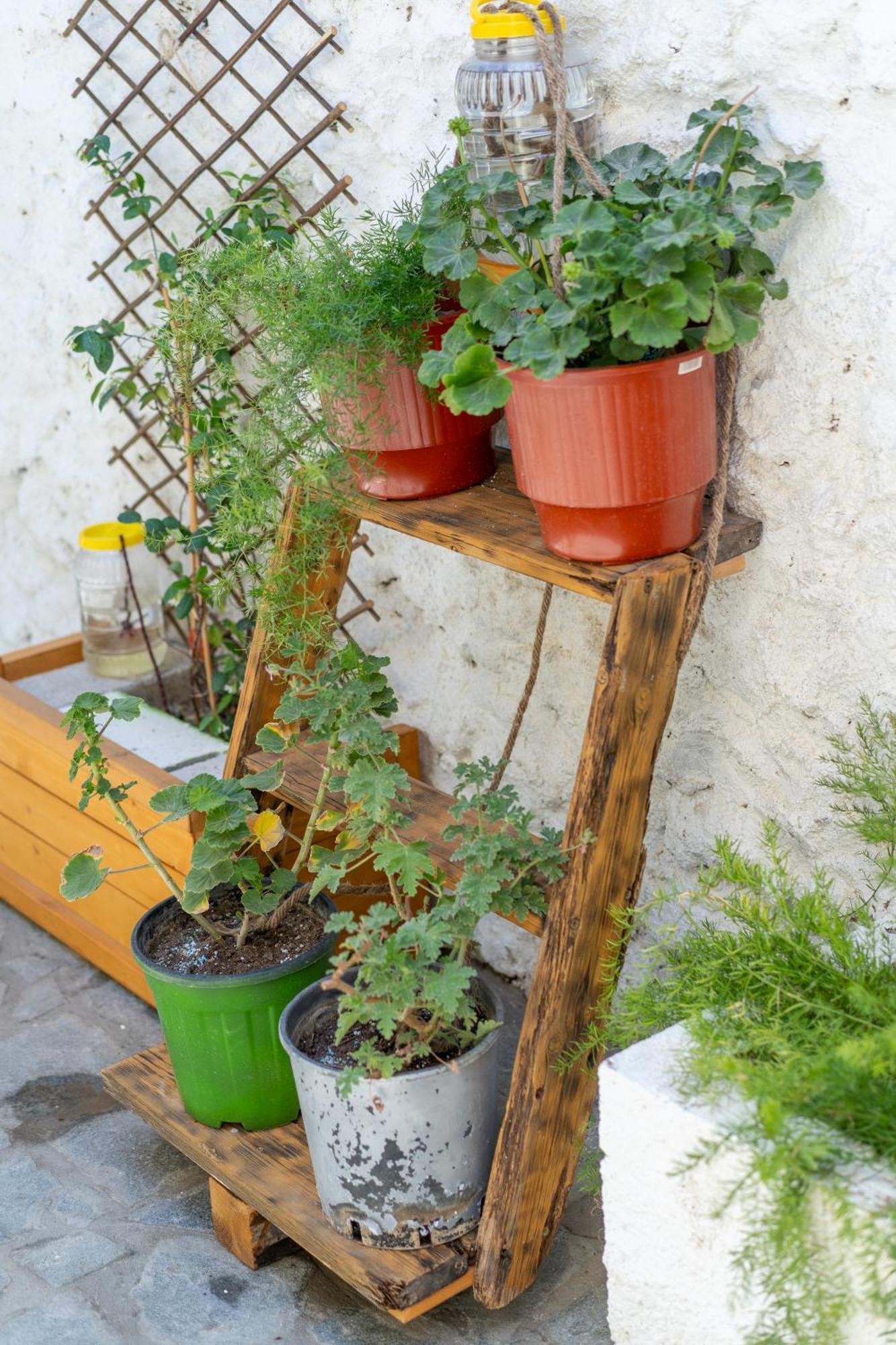 Spacious Home With Yard, Mytilene Lesvos 外观 照片