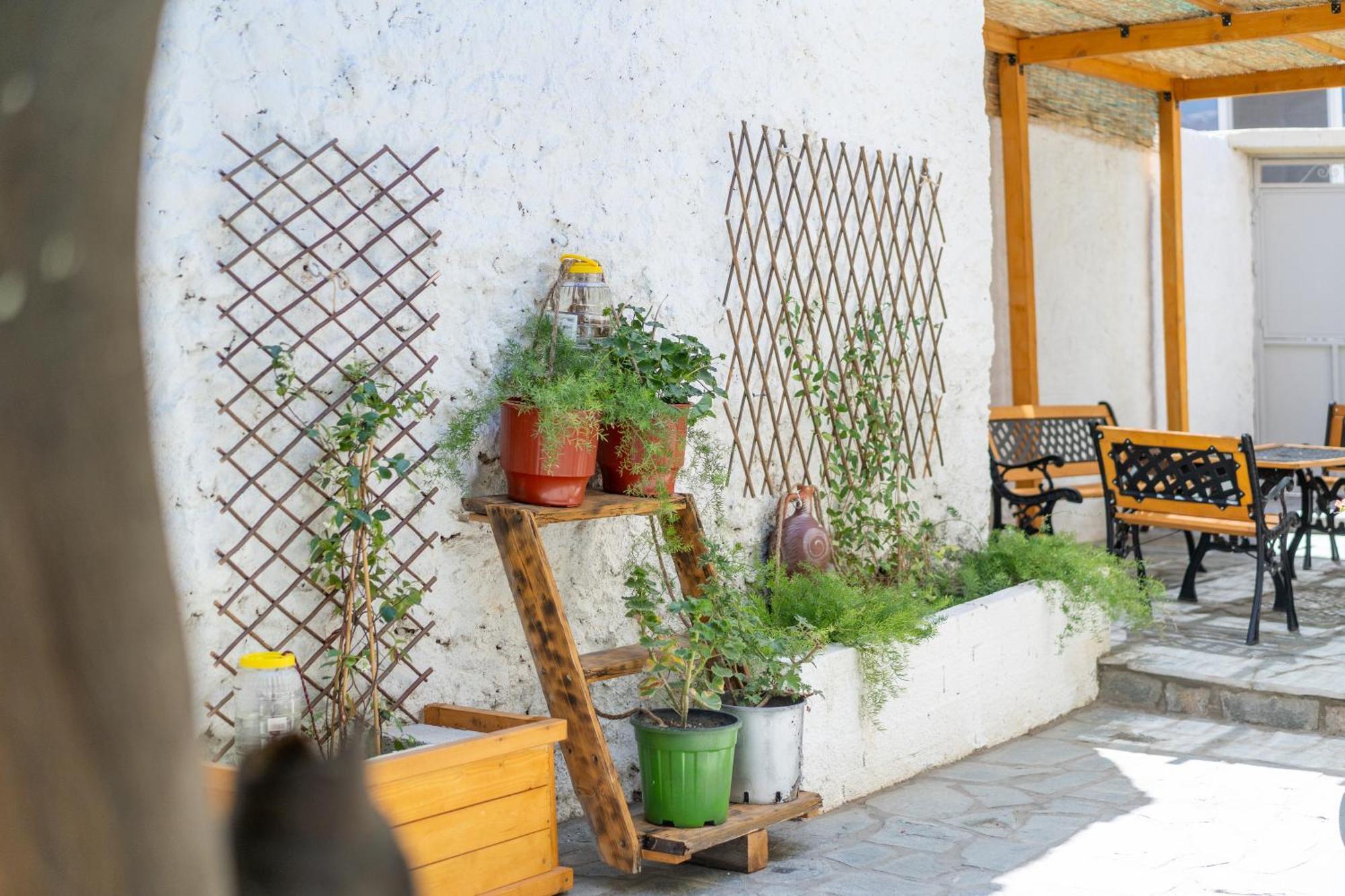 Spacious Home With Yard, Mytilene Lesvos 外观 照片